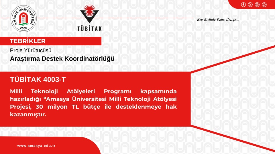 TÜBİTAK 4003-T